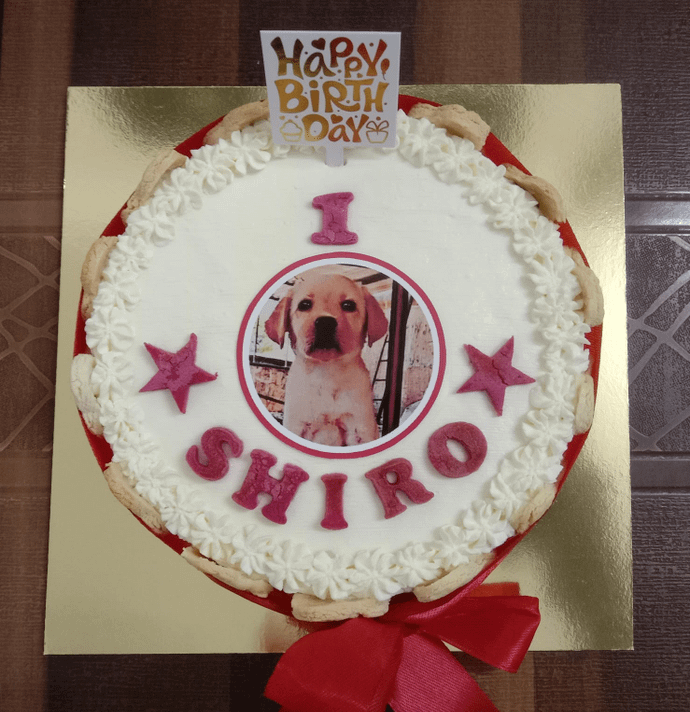 Picture Biscuit Cake -500g