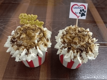 Liver Cupcakes -Box of 2