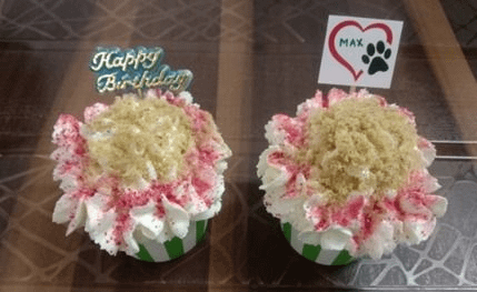 Chicken Red Velvet Cupcakes -Box of 2