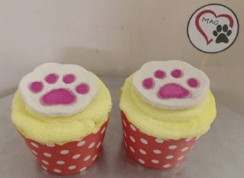 Custom Cupcakes in Yellow Frosting -Box of 2