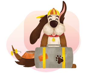 Andheri East Pet Boarding and Day Care  - 400073