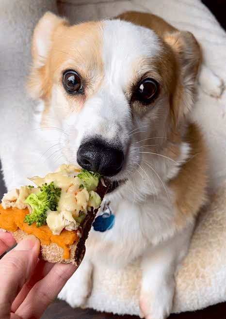 veggies overloaded pizza