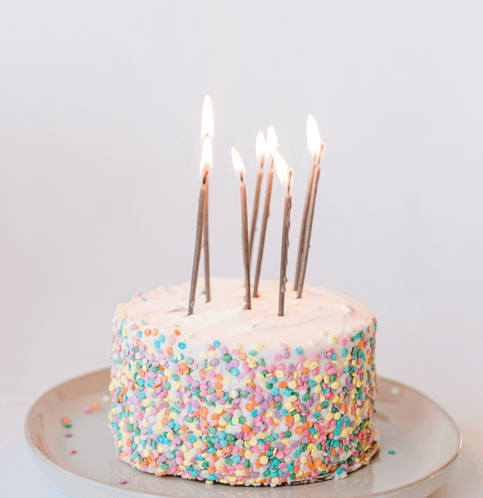 Rainbow Sprinkle Fruit Cake (600 Gram)