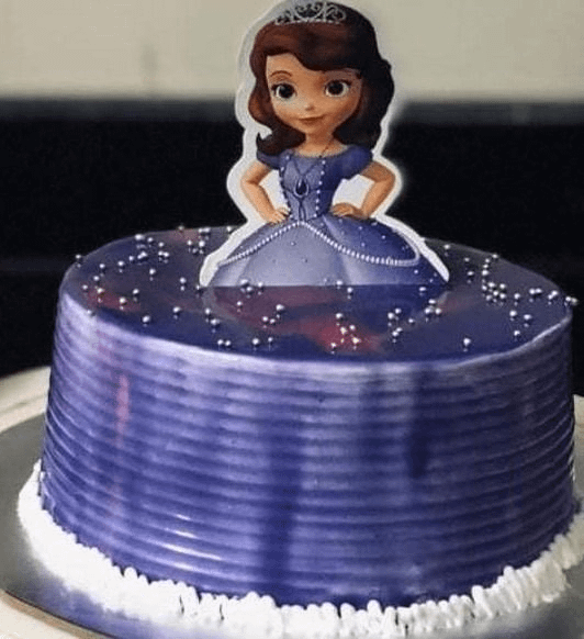 Blueberry Princess Delight (600 Gram)