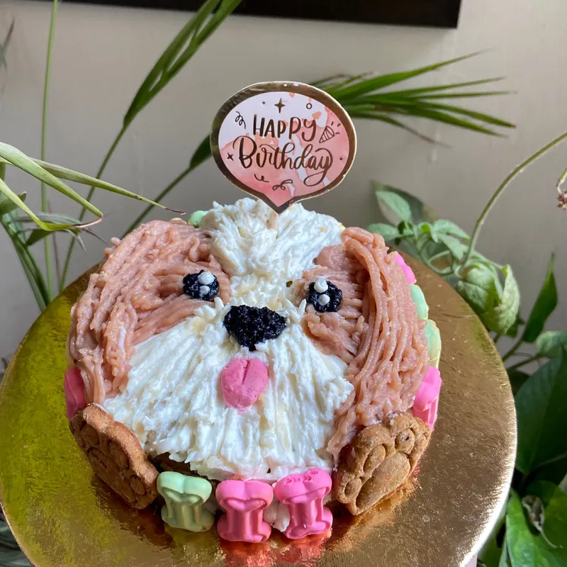 Shihtzu