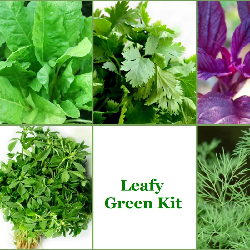 Leafy Green Kit