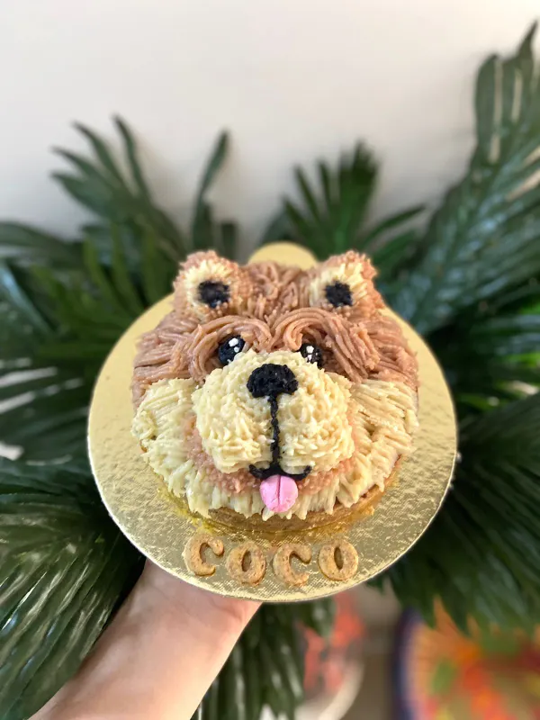 Chow Chow