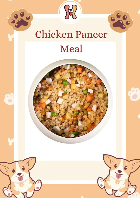 Chicken Paneer Meal