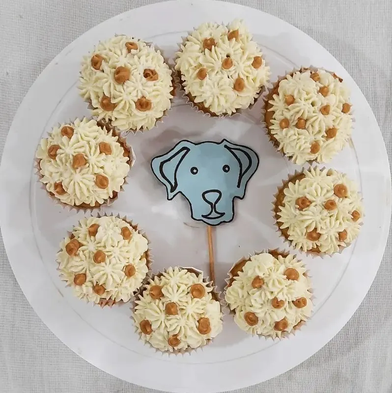 Pumpkin Cupcakes (Box of 4)