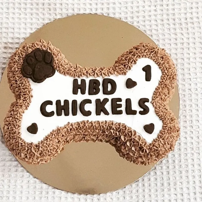 Bone Shaped Cake