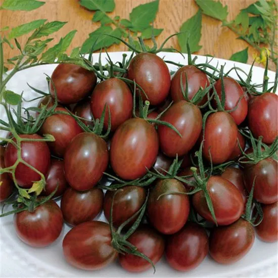 Cherry tomato Brown Combo Seed kit