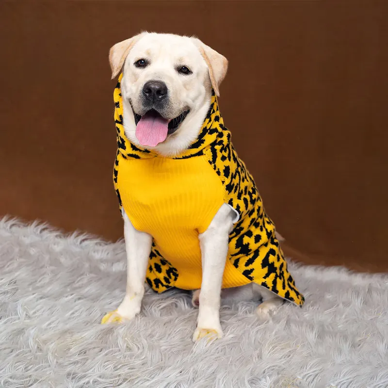Leopard Knit Sweater