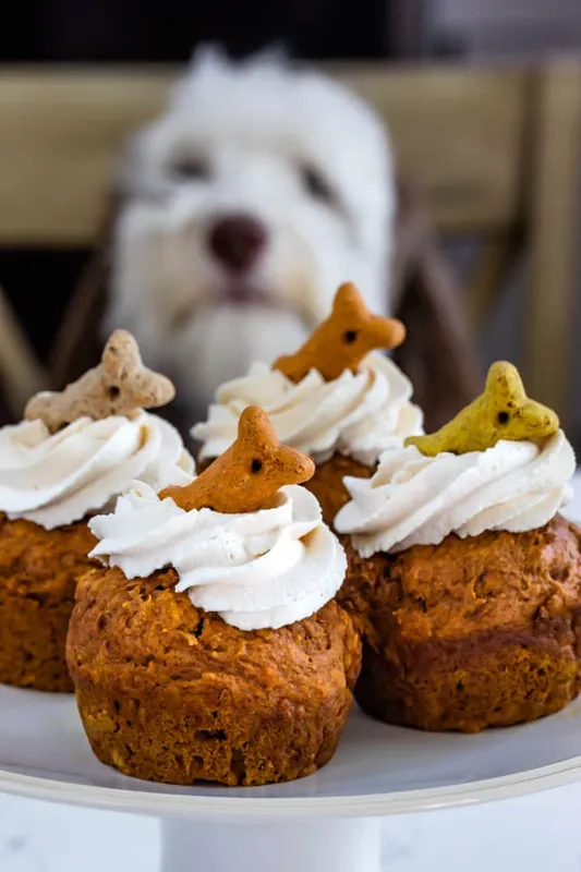 Pumpkin Pupcakes (pack of 6) - VEG