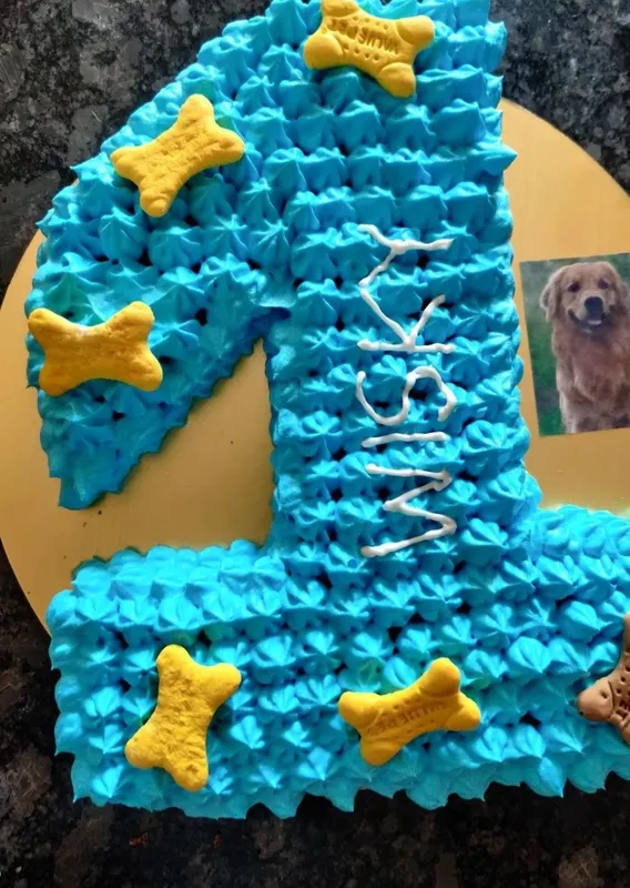 Gluten free chicken peanut butter cake 