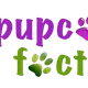 Pupcake Factory (Kinara Apartment