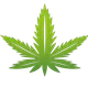 Hemp dukaan